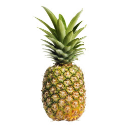 Pineapple - 1 piece